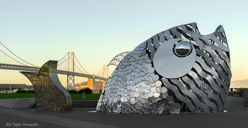 🏙️ San Francisco 🏙️