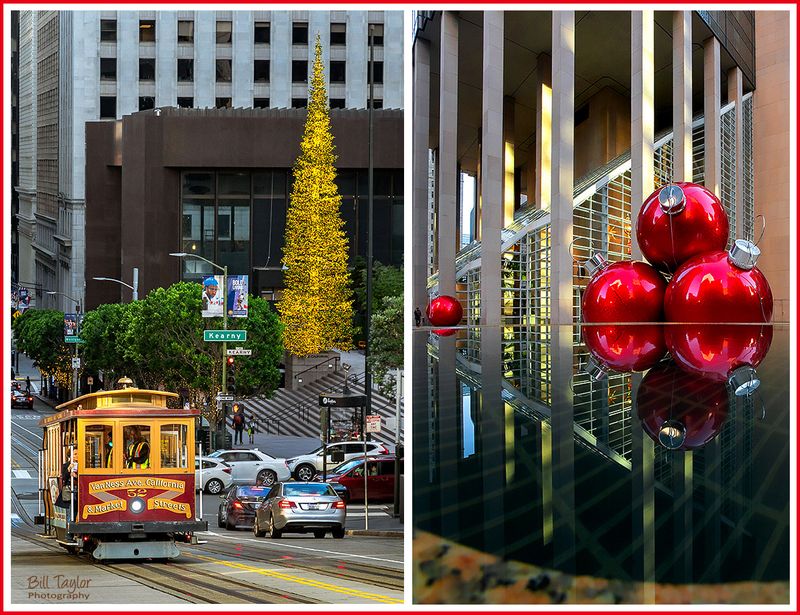 🏙️ San Francisco 🏙️