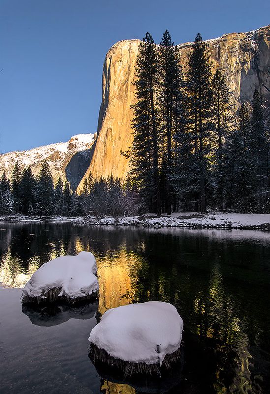 Yosemite National Park