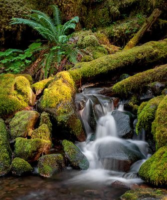 Olympic National Park