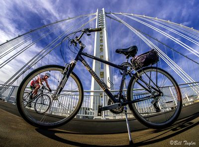 Bay Bridge Bike Trail