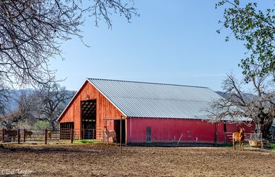 Barns and Abandoned Buildings Of California