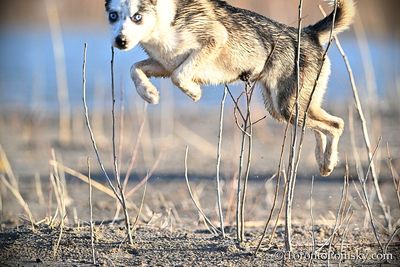 Apr12_23_056.jpg