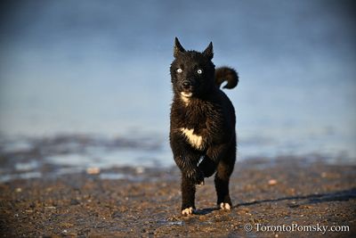 Apr12_23_308.jpg
