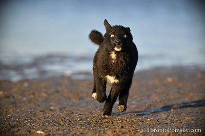 Apr12_23_311.jpg