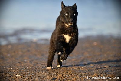 Apr12_23_313.jpg