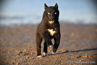 Apr12_23_315.jpg
