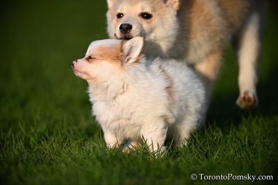 Apr25_23_012.jpg