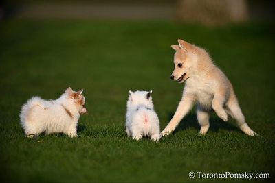 Apr25_23_018.jpg