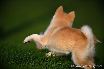 Apr25_23_031.JPG