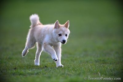 Apr25_23_052.jpg