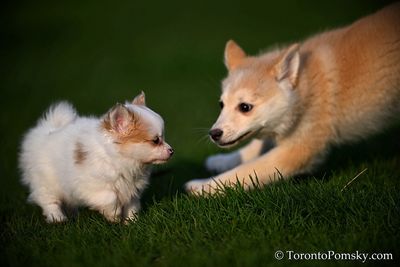 Apr25_23_057.jpg