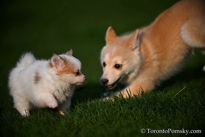 Apr25_23_058.jpg