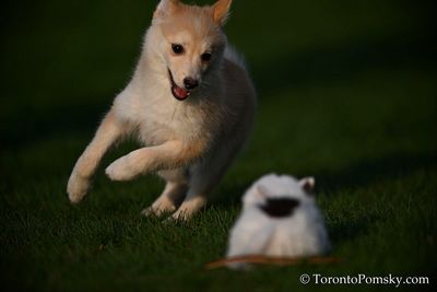 Apr25_23_060.jpg
