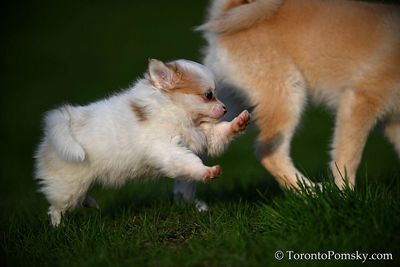 Apr25_23_074.jpg