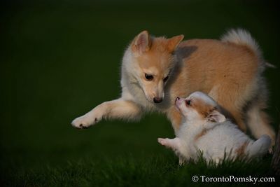 Apr25_23_076.jpg