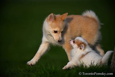 Apr25_23_077.jpg