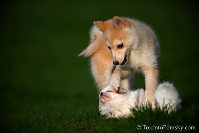 Apr25_23_085.JPG