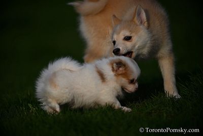 Apr25_23_087.jpg