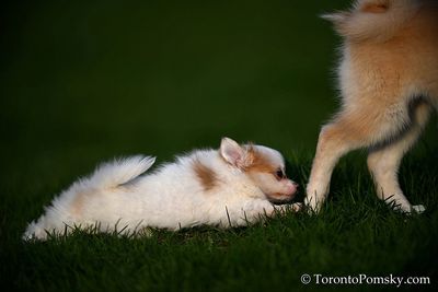 Apr25_23_091.jpg