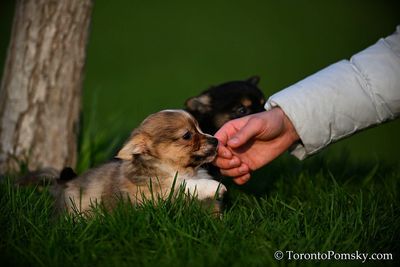 Apr25_23_100.jpg