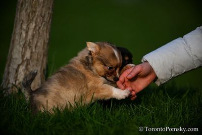 Apr25_23_101.jpg