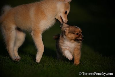 Apr25_23_109.JPG