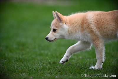 Apr26_23_058.JPG