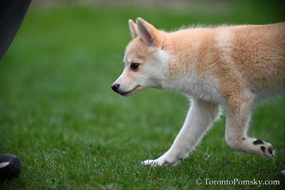 Apr26_23_059.jpg