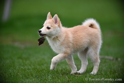 Apr26_23_076.jpg