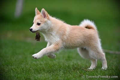 Apr26_23_077.jpg