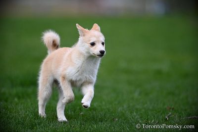 Apr26_23_098.jpg