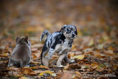 Nov14_22_493.jpg