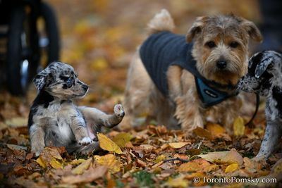 Nov14_22_497.jpg