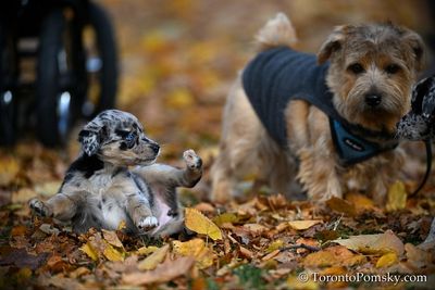 Nov14_22_498.jpg