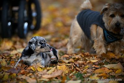 Nov14_22_499.jpg