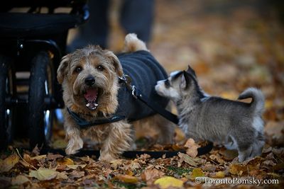 Nov14_22_502.jpg