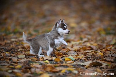 Nov14_22_510.jpg