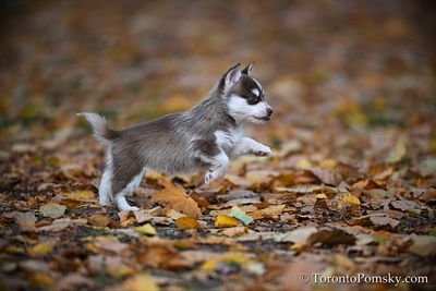 Nov14_22_511.jpg