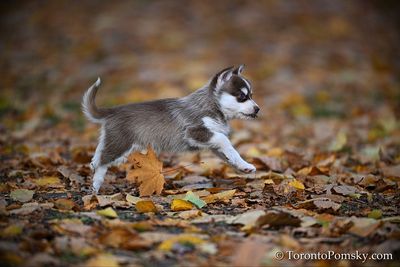Nov14_22_512.jpg