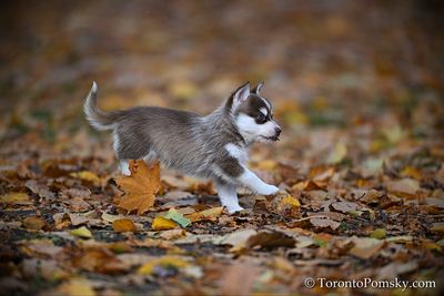 Nov14_22_513.jpg