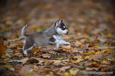 Nov14_22_515.jpg