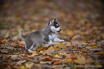 Nov14_22_516.jpg