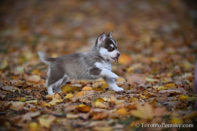 Nov14_22_517.jpg