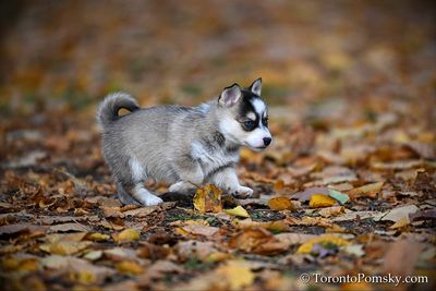 Nov14_22_518.jpg