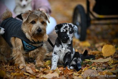 Nov14_22_521.JPG