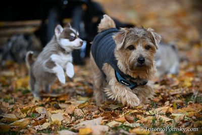 Nov14_22_527.jpg