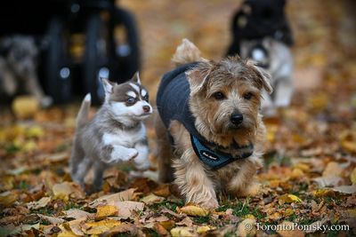 Nov14_22_529.jpg
