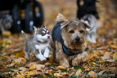 Nov14_22_530.jpg