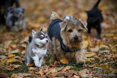 Nov14_22_532.jpg